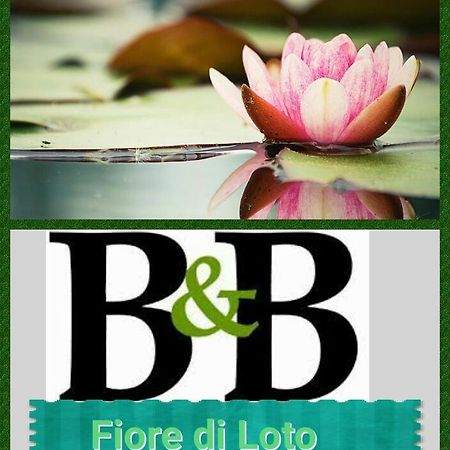 Fiore Di Loto Лиматола Екстериор снимка